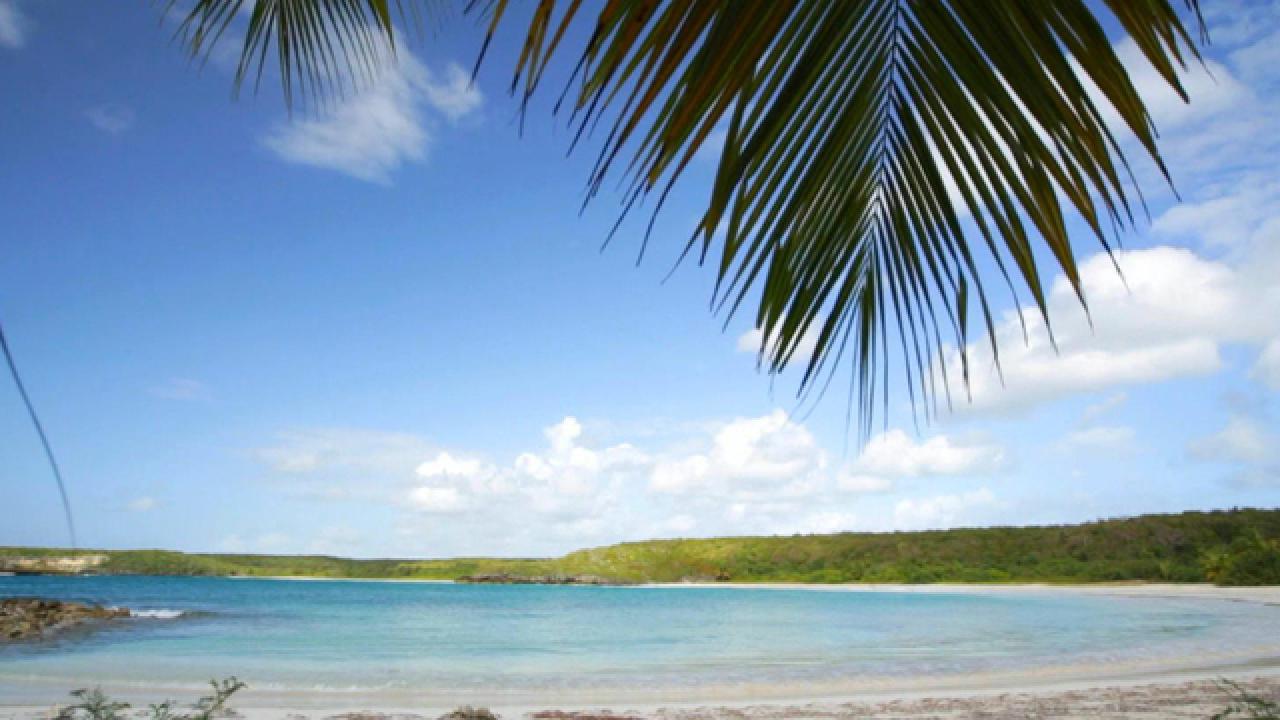 Why We Love Vieques