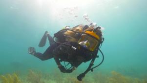 Diving for Treasure in Antigua