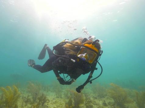 Diving for Treasure in Antigua