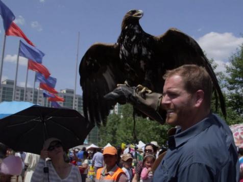 Josh Gates Animal Encounters