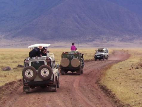 African Safari Big Five