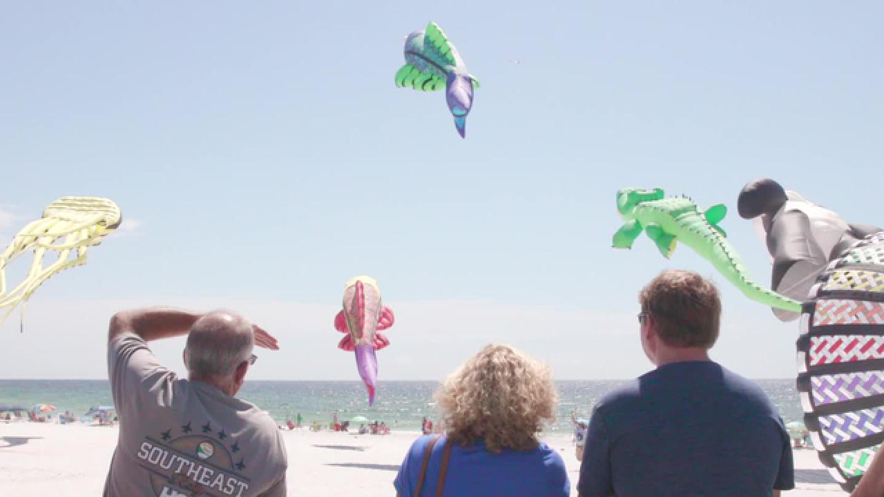 Fly High at the Kitty Hawk Kite Festival
